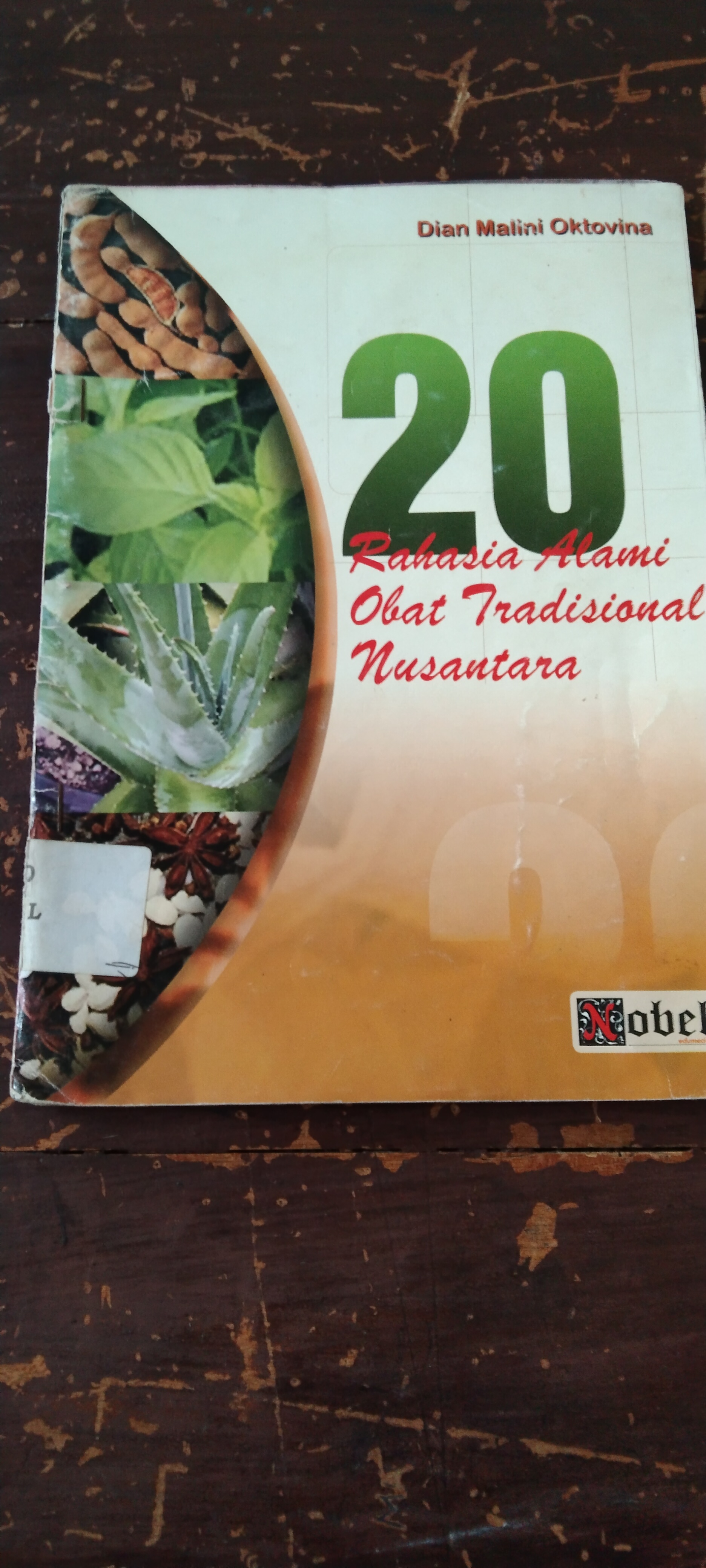 20 Rahasia Alami Obat Tradisional Nusantara